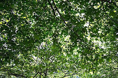 虚幻5免费FPS《The Finals》将与12月登陆PS4主机