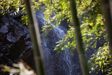 苹果好评游戏《俄勒冈之旅》11月登陆PC及Switch